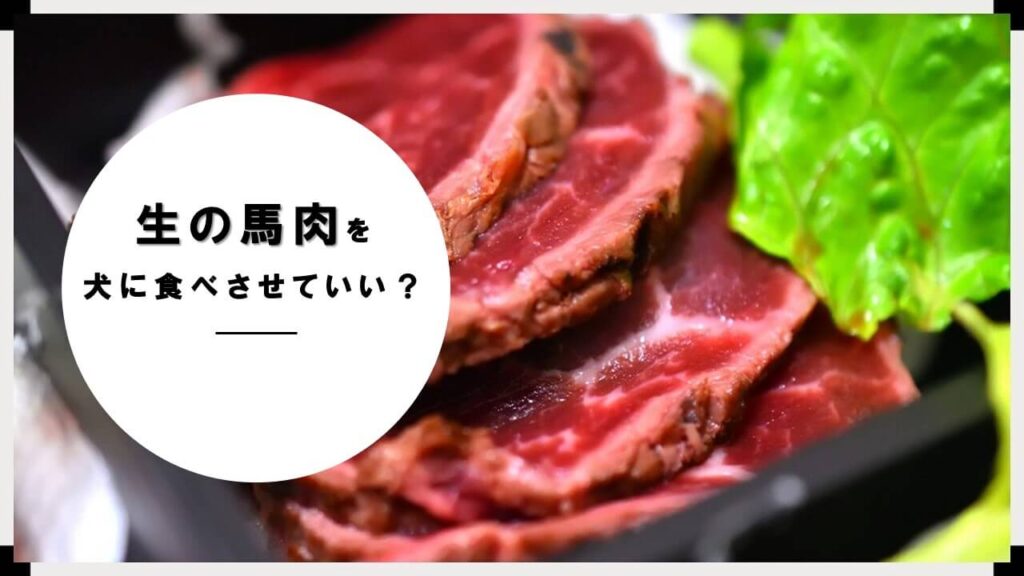 生馬肉を犬に食べさせていい？安全性や効果は？