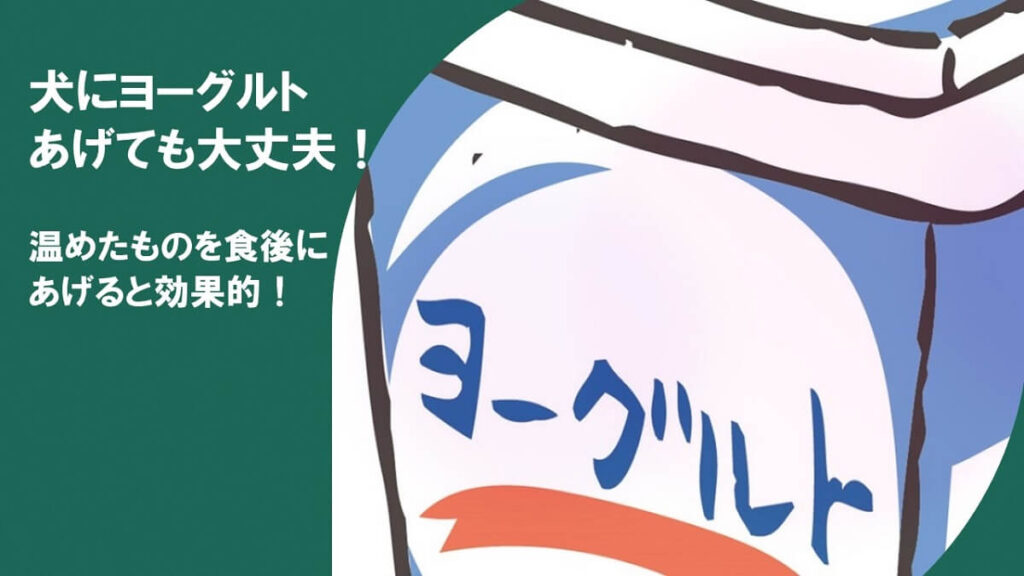 犬にヨーグルトをあげても大丈夫！温めたものを食後にあげると効果的！