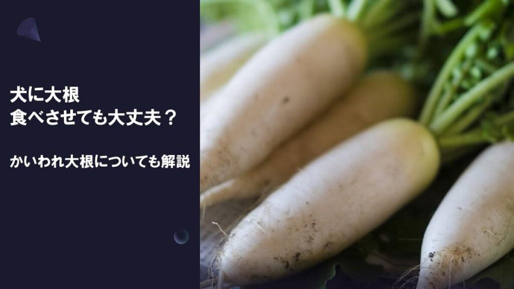 犬に大根を食べさせても大丈夫？かいわれ大根についても解説