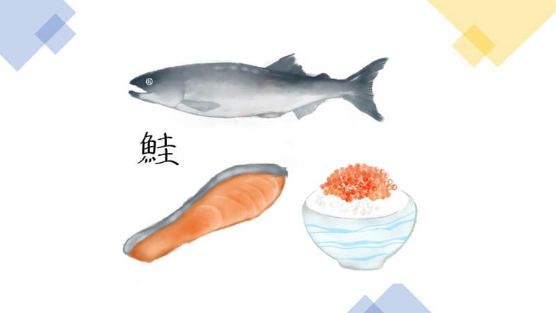 鮭を与える際の注意点と調理の仕方