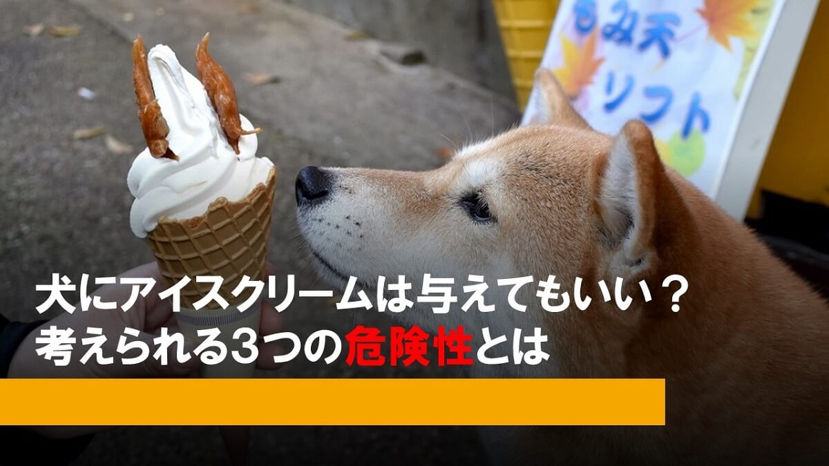 犬にアイスクリームは与えてもいい 考えられる３つの危険性と