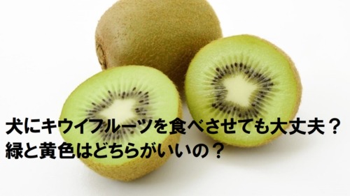 犬にひじきを与えても大丈夫 正しい与え方をすれば快便の心強い味方に 犬の食べ物