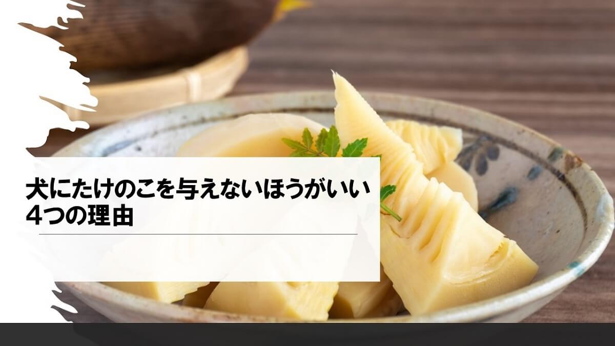 犬にたけのこを与えないほうがいい４つの理由 犬の食べ物