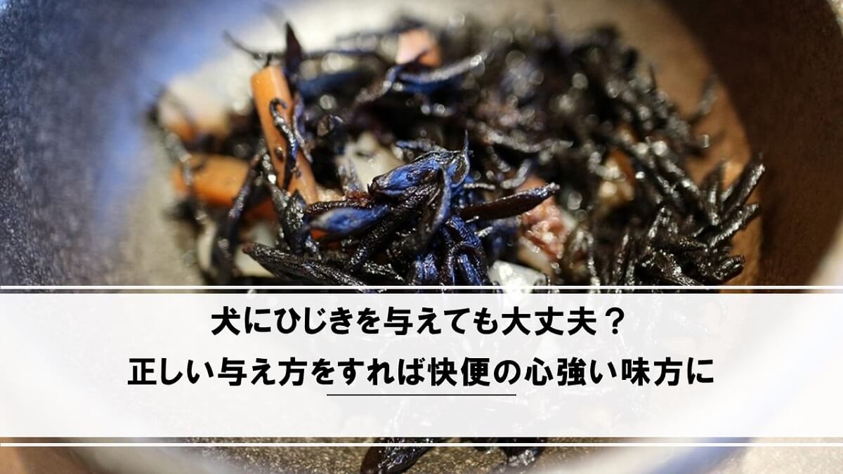 犬にひじきを与えても大丈夫 正しい与え方をすれば快便の心強い味方に 犬の食べ物