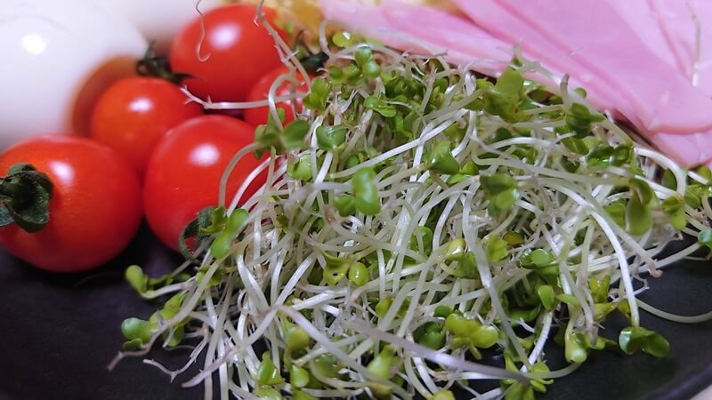 犬にブロッコリーを食べさせても大丈夫 甲状腺と結石の病気がある子には与えないで 犬の食べ物