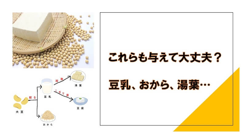 豆腐は犬に食べさせても大丈夫 豆乳 おから 湯葉についても解説します