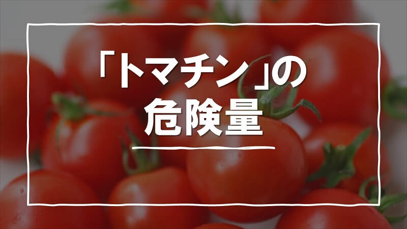 犬はトマトを食べても大丈夫だけど 市販のトマトジュースはダメ