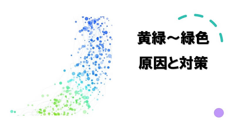 犬が吐いた色で原因と対策を見分ける 吐出 嘔吐別で考えられる病気一覧表 犬との暮らし