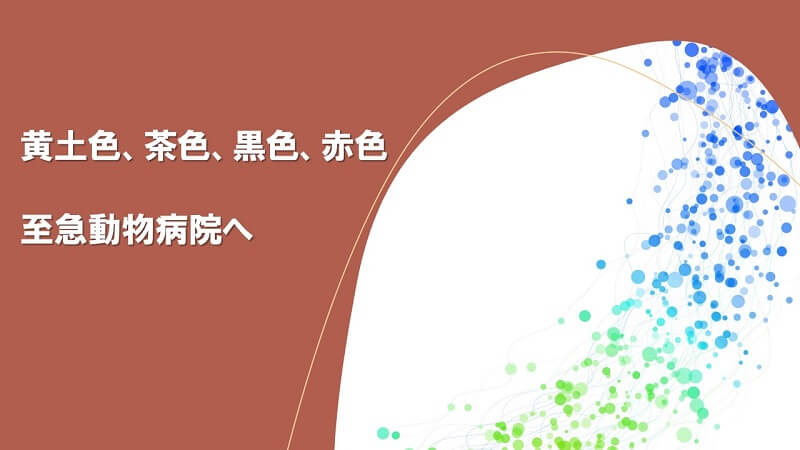 犬が吐いた色で原因と対策を見分ける 吐出 嘔吐別で考えられる病気一覧表 犬との暮らし