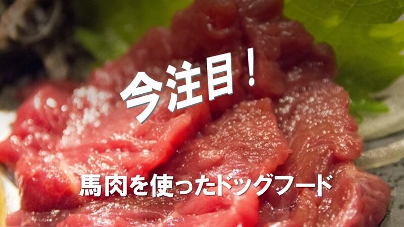 馬刺は犬に食べさせてok 生馬肉には食中毒の原因はなし だけど安全性や効果は 犬の食べ物 馬刺は犬に食べさせてok 生馬肉には食中毒の原因はなし だけど安全性や効果は 犬の食べ物