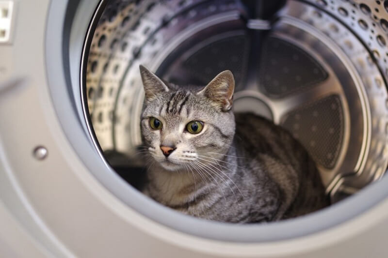 洗濯機の人気有名メーカー5社の特徴や選び方を解説